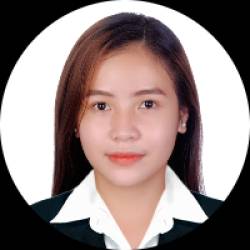 Professional Virtual Assistant
