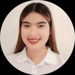 License Professional Teacher