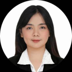 Civil Engineer