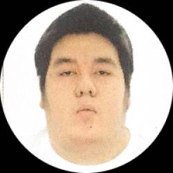 Wordpress Developer