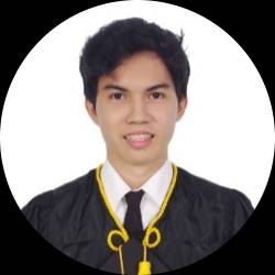 Investment and Financial Analyst